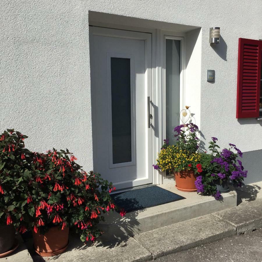 Ferienwohnungen Haus Bergflora Bach  Dış mekan fotoğraf